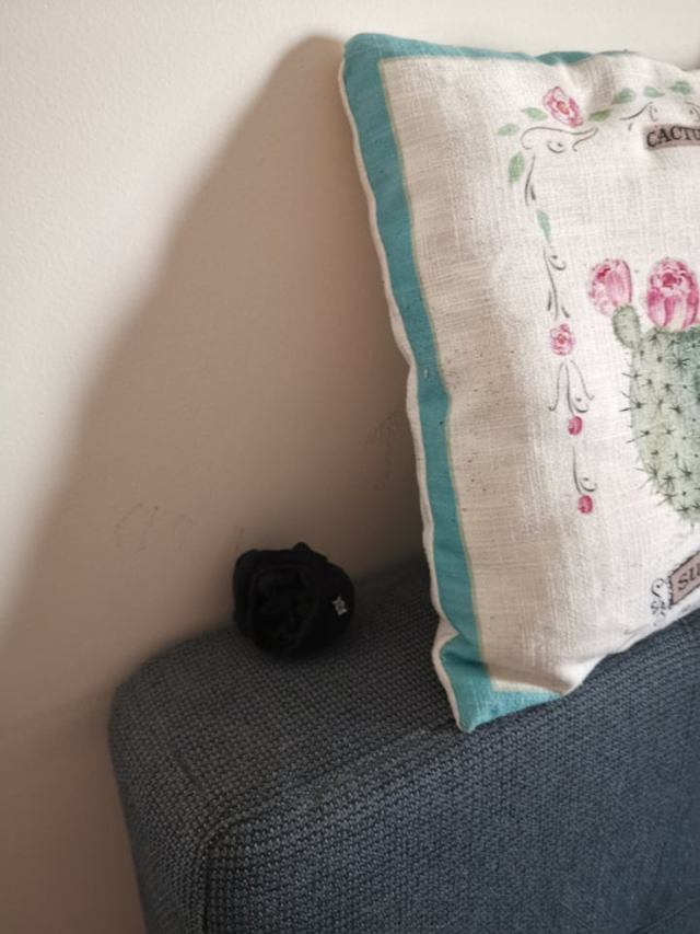 91802644_3317384315005192_85654833431838720_n (2)