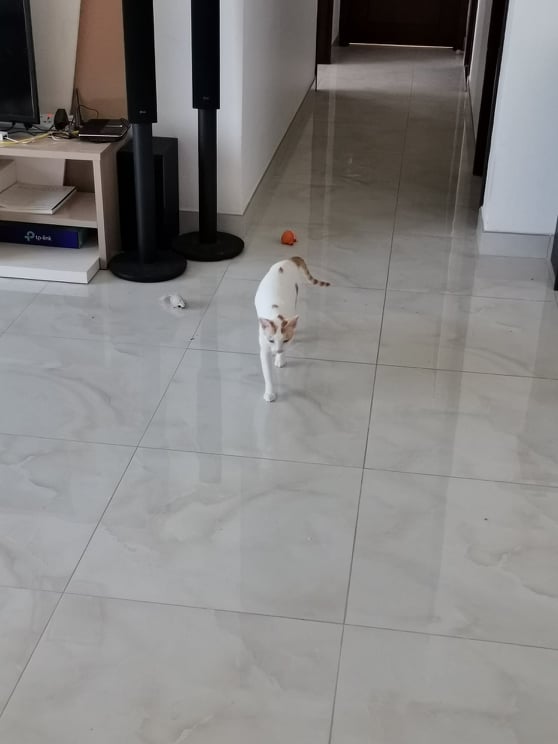 117641275_686570861942103_736349639063537640_n