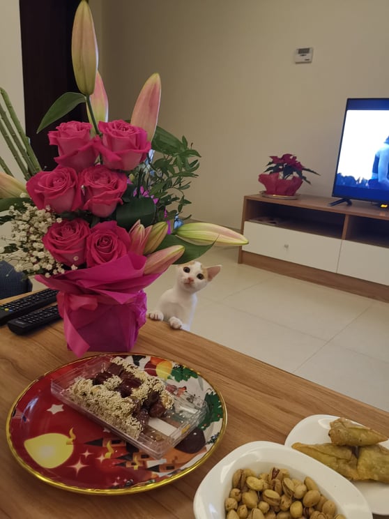 117718327_1772744662866307_2803709653771166756_n