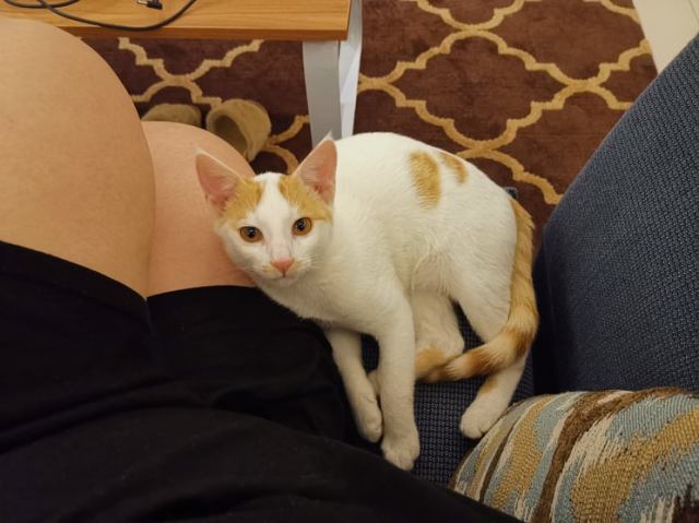 117780521_1684049771744212_465485734278599208_n